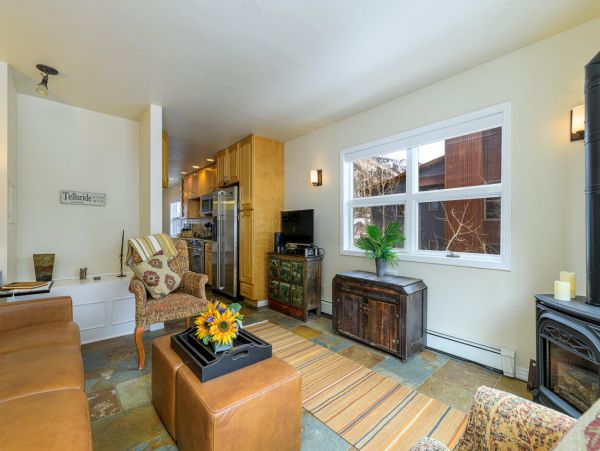Telluride Condo 994171