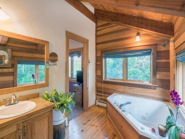 Telluride Home 994172