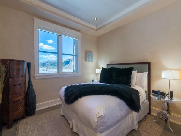 Telluride Home 994182