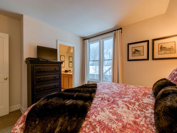 Telluride Home 994183