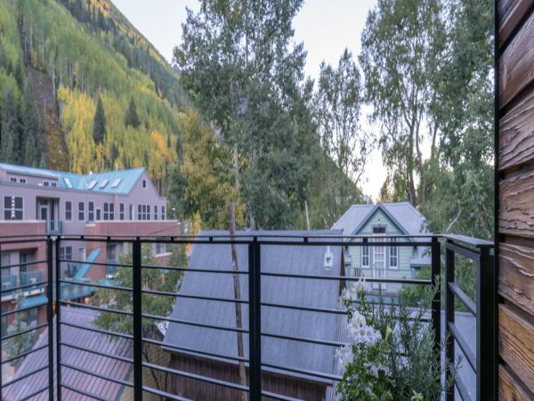 Telluride Home 994184