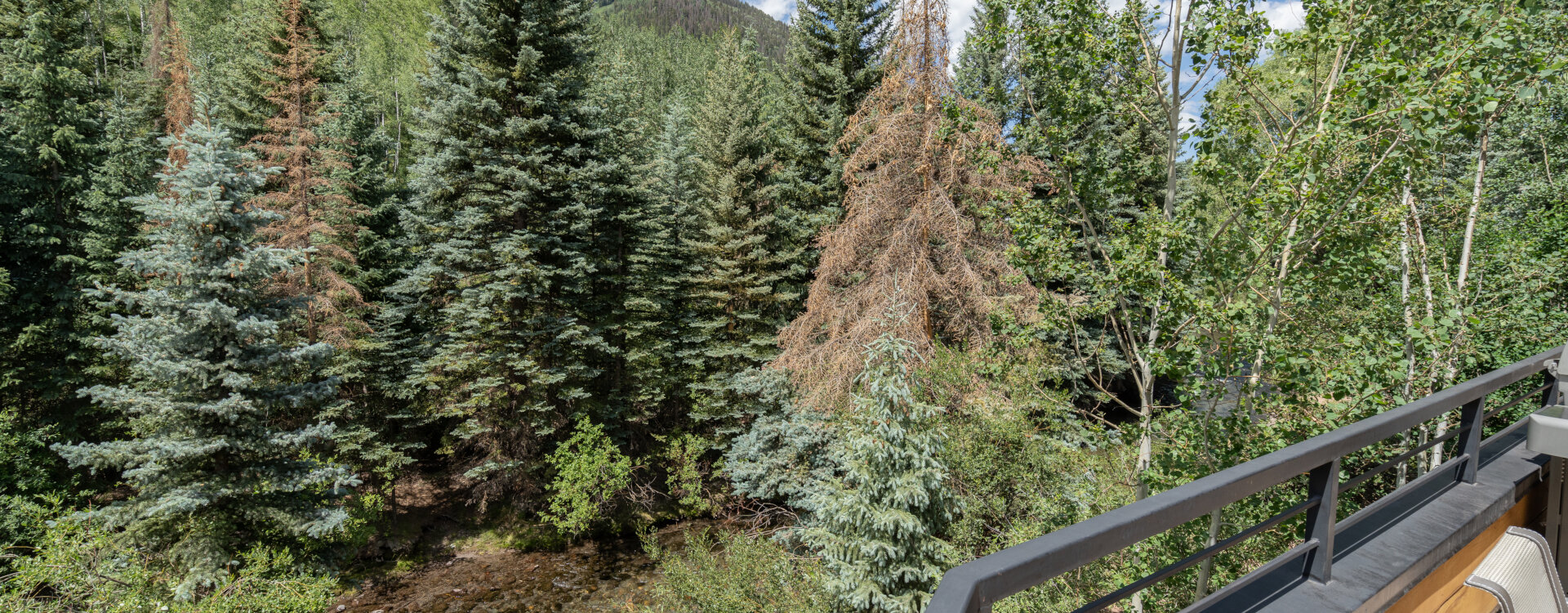 Telluride Home 994185