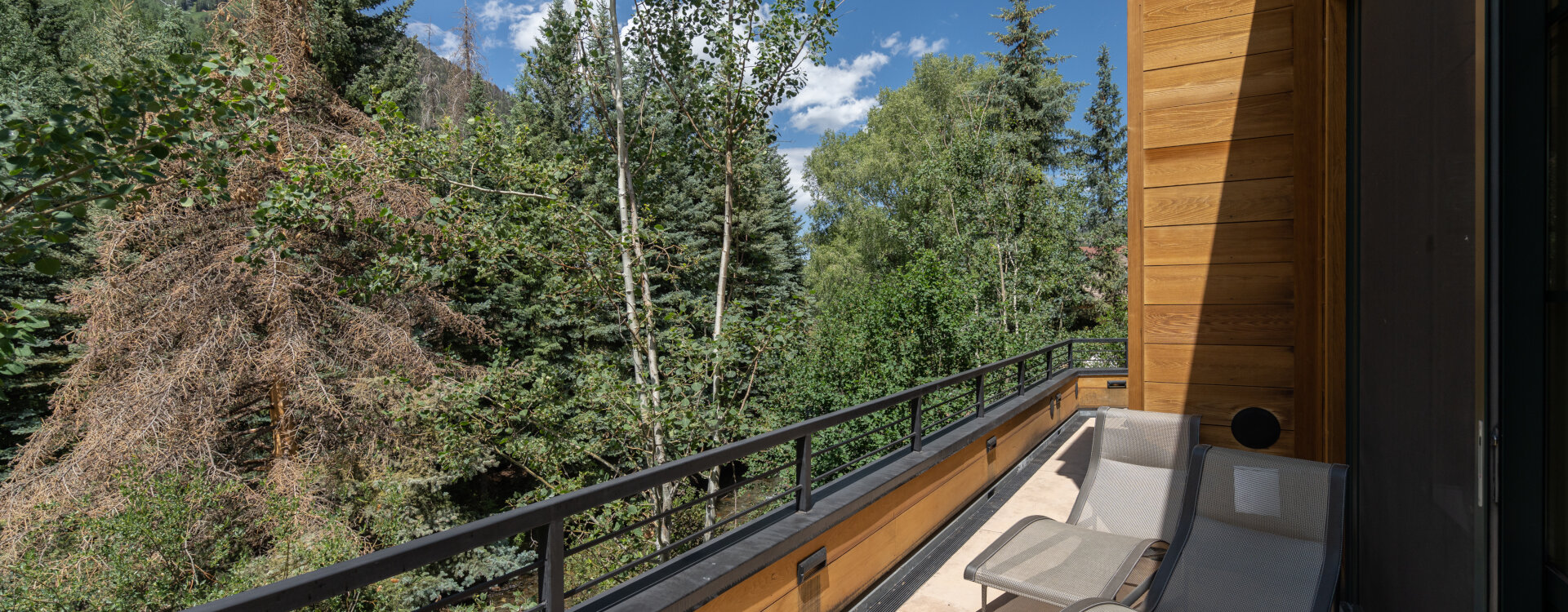 Telluride Home 994185