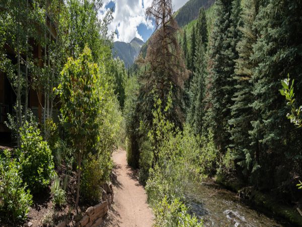 Telluride Home 994185