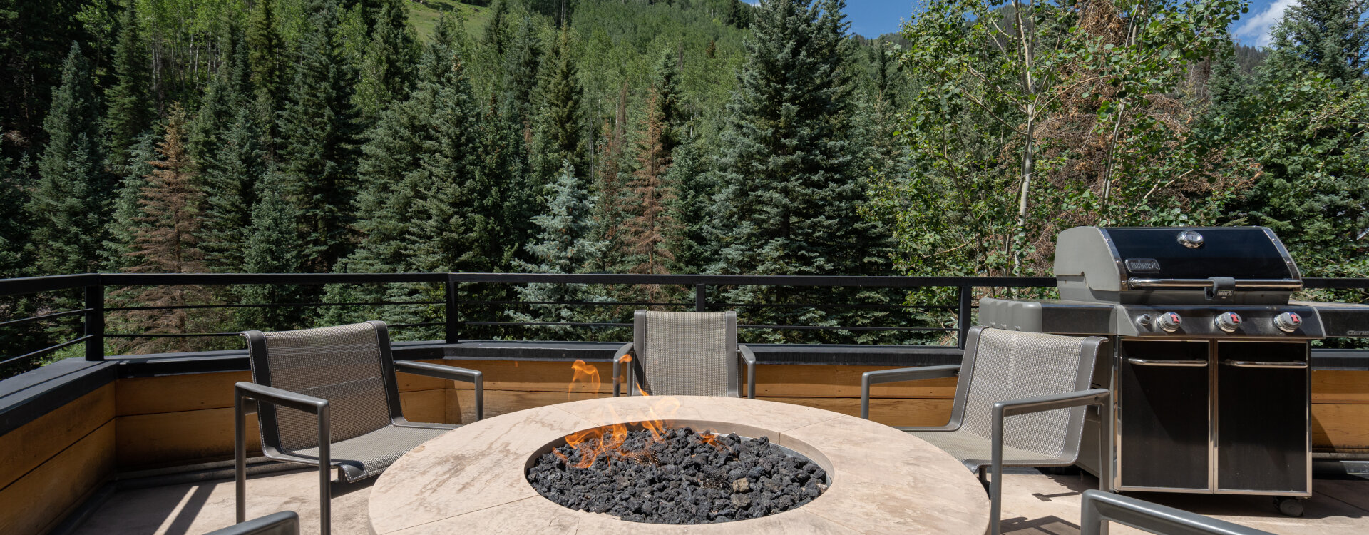 Telluride Home 994185