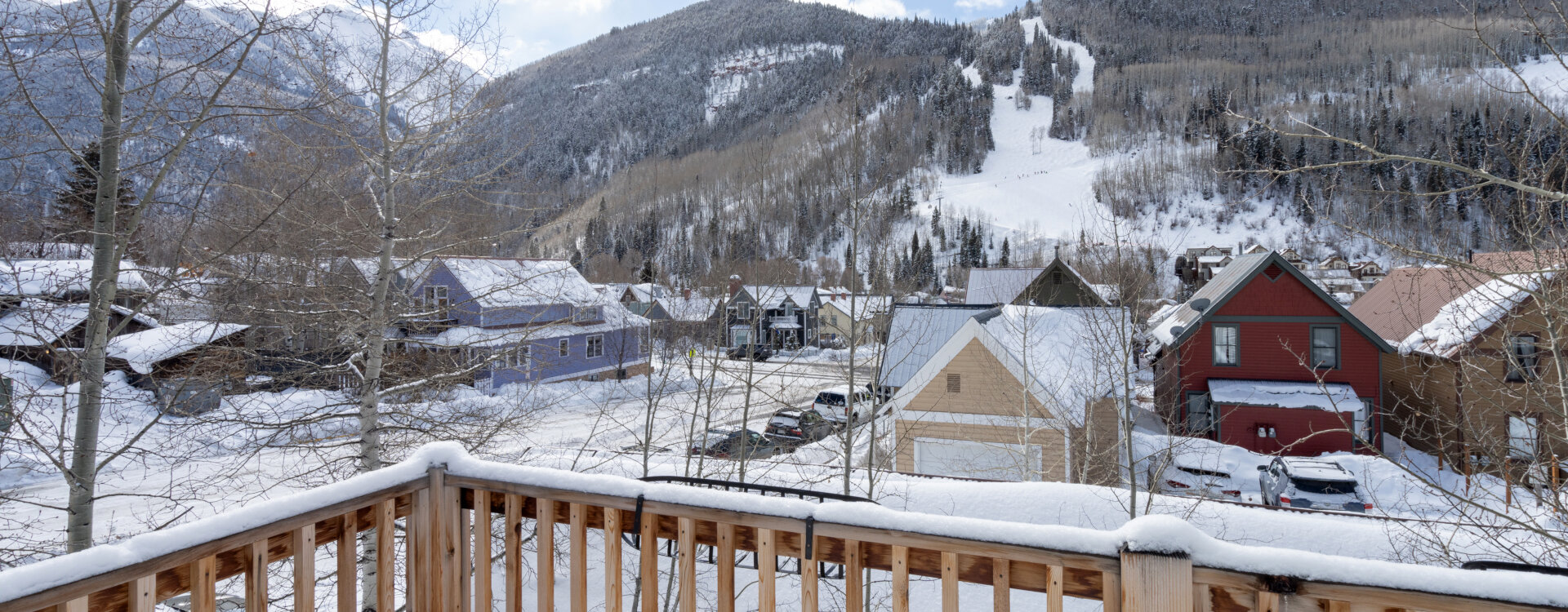 Telluride Home 994190