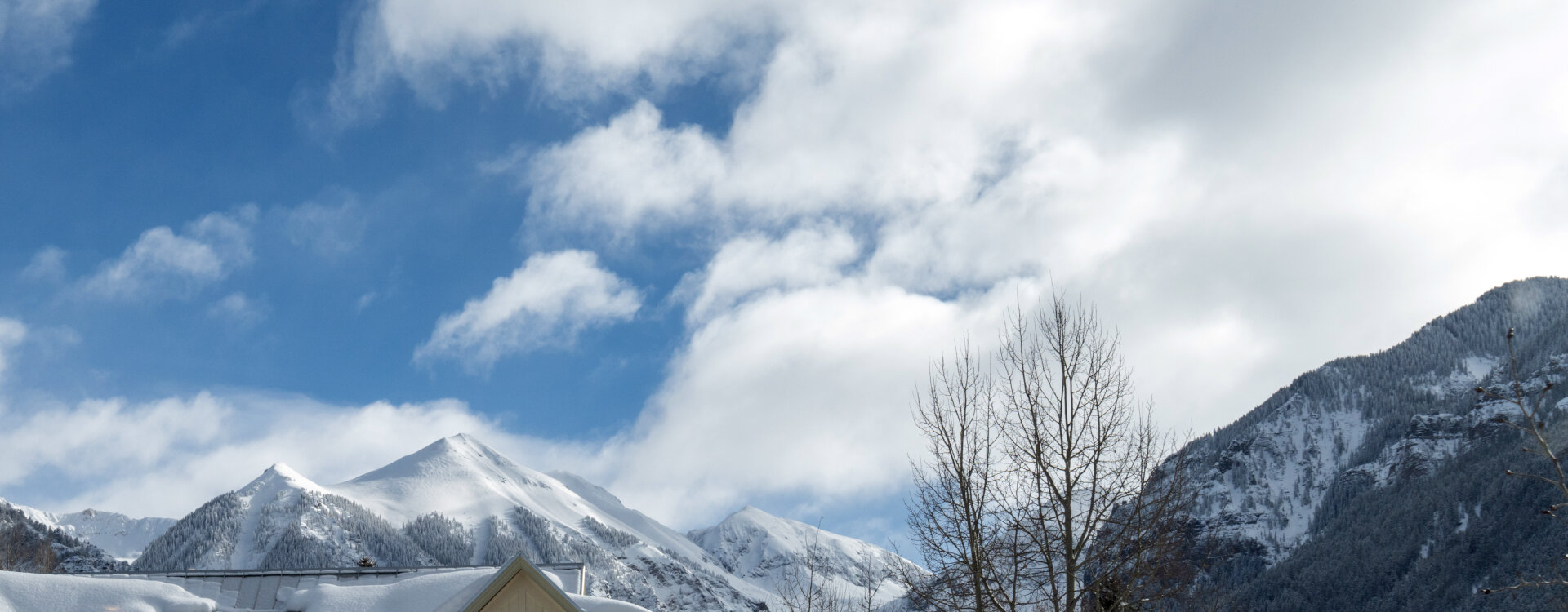 Telluride Home 994190