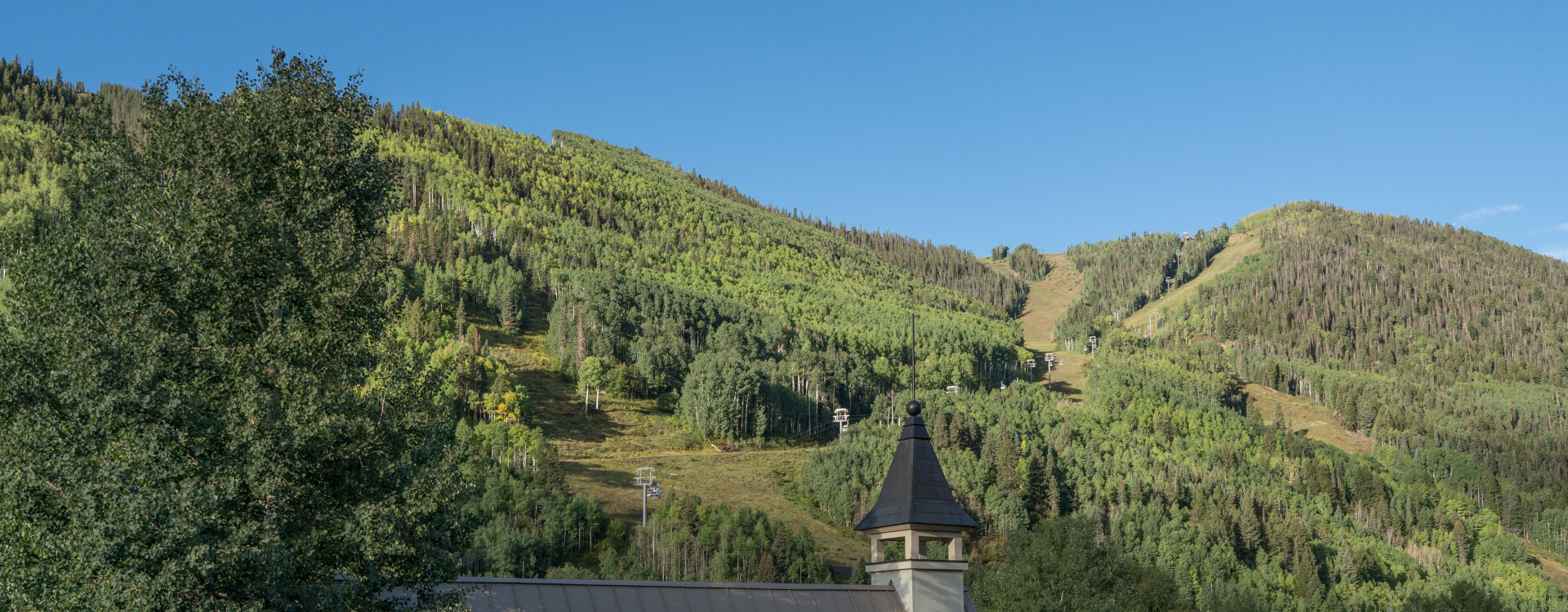 Telluride Home 994191