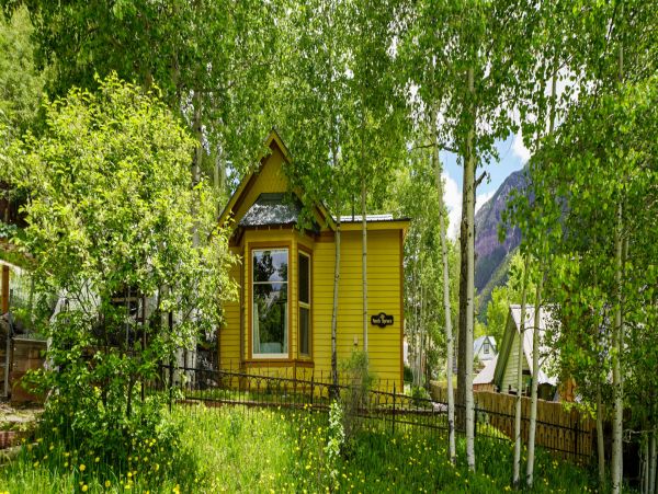 Telluride Home 994194