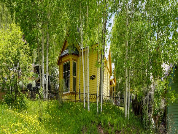 Telluride Home 994194