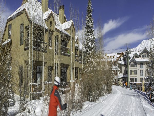 Telluride Home 994198