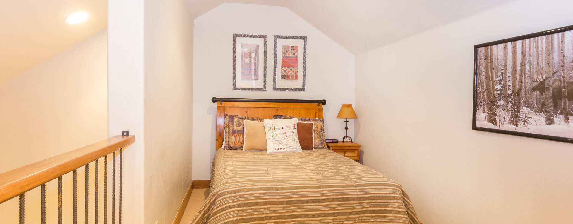 Telluride Home 994199