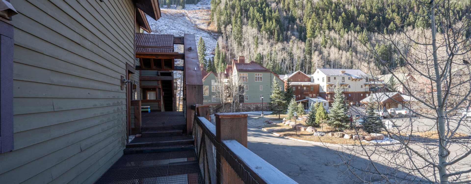 Telluride Home 994203