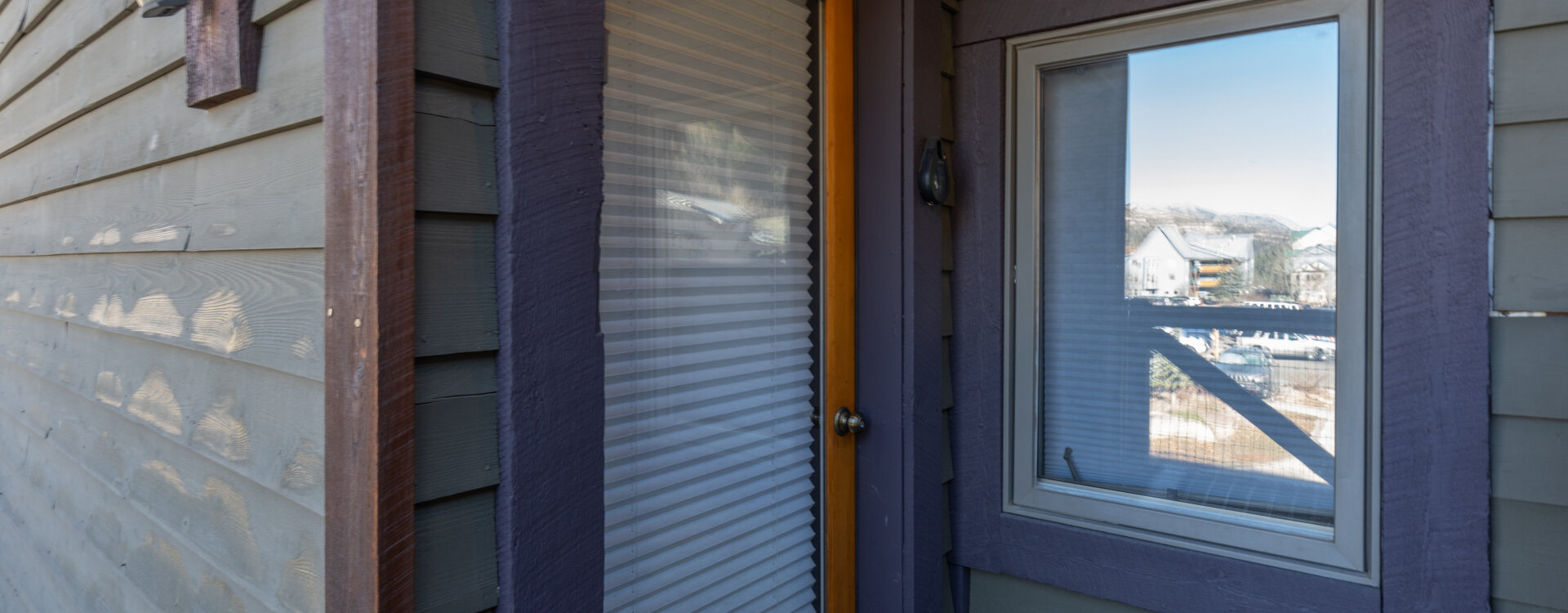 Telluride Home 994203