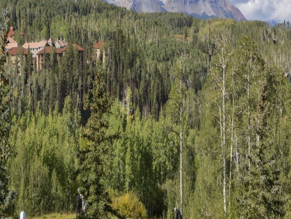 Telluride Home 994206