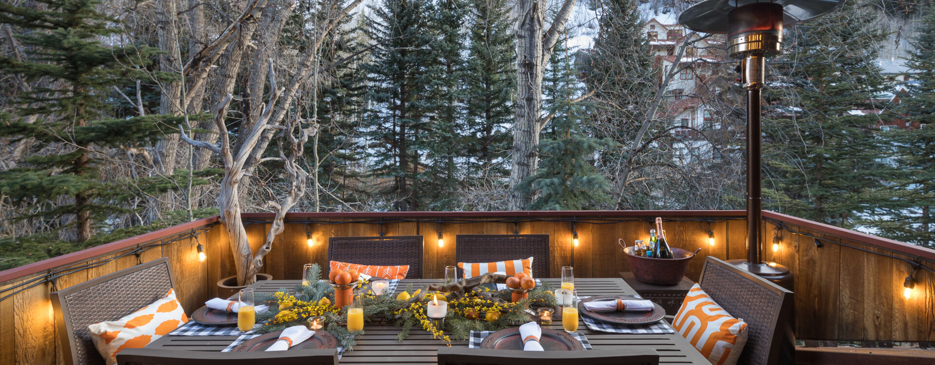 Telluride Home 994208