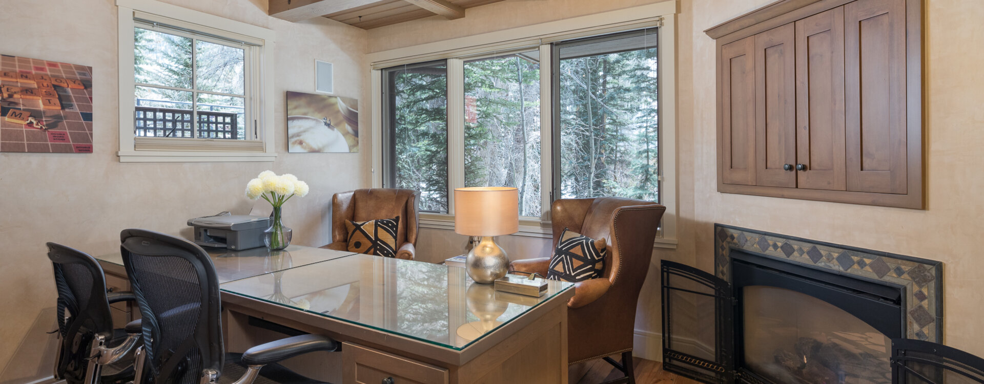 Telluride Home 994208
