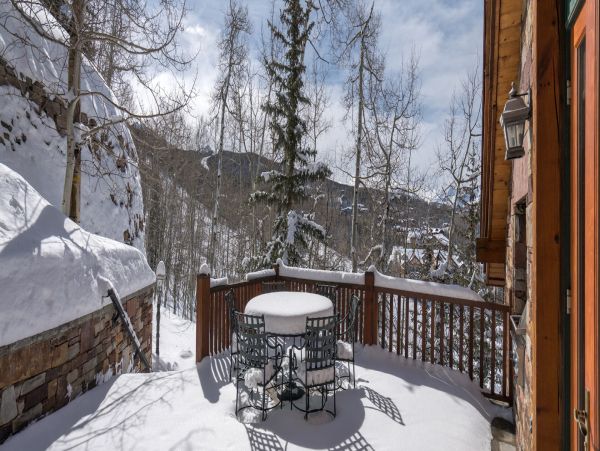 Telluride Home 994211