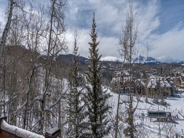 Telluride Home 994211