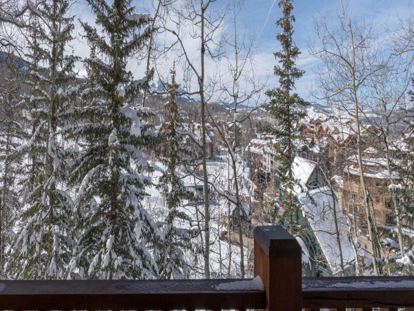 Telluride Home 994211