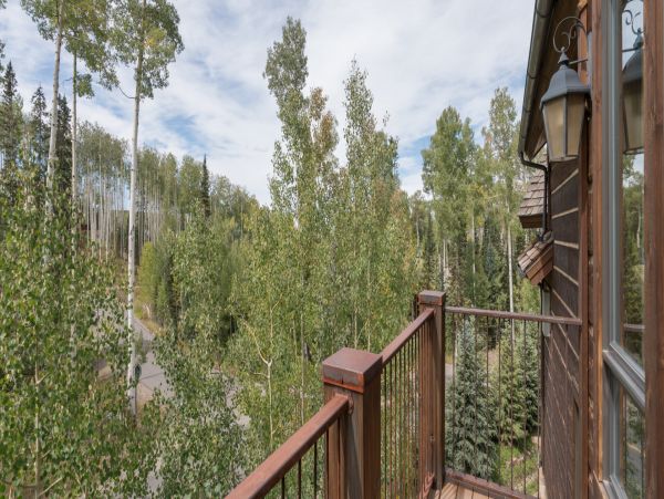 Telluride Home 994213