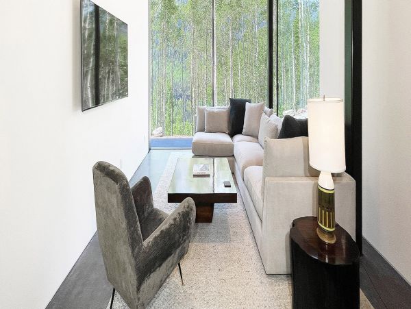 Telluride Home 994214
