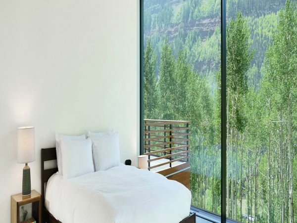 Telluride Home 994214