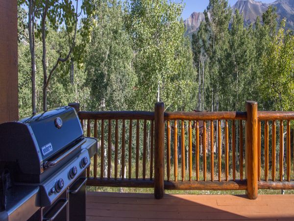 Telluride Home 994217