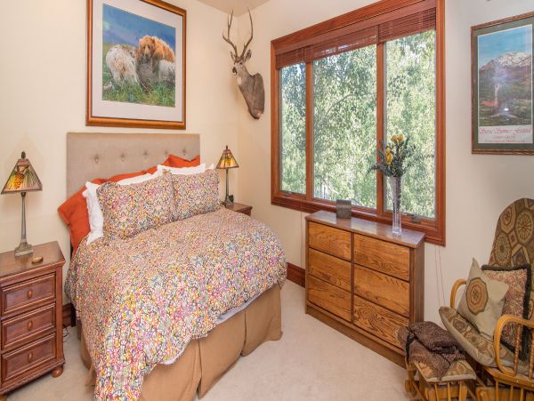 Telluride Home 994217