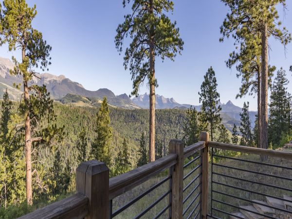 Telluride Home 994218