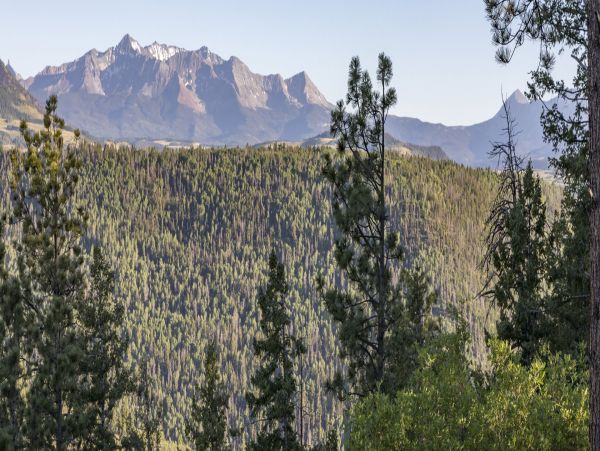 Telluride Home 994218