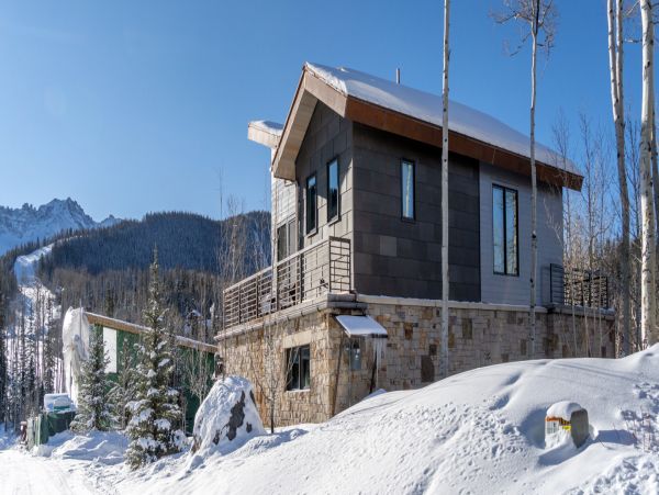 Telluride Home 994219