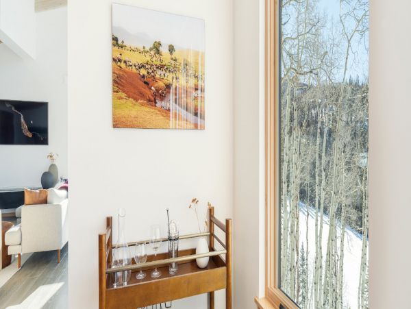 Telluride Home 994219
