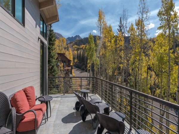 Telluride Home 994219
