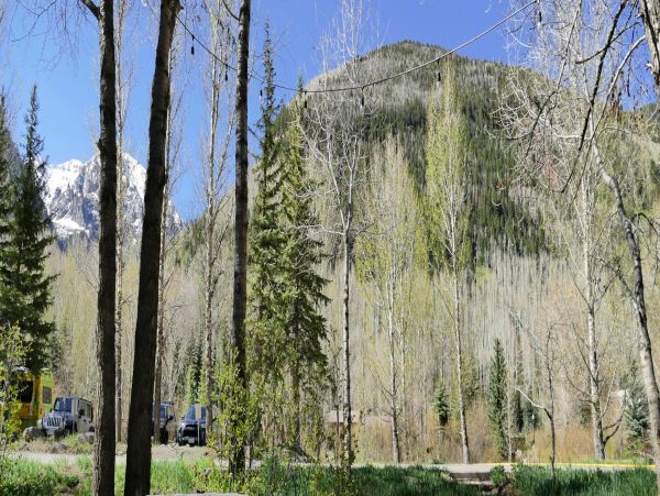 Telluride Home 994221