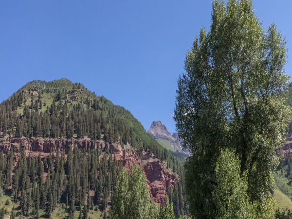 Telluride Home 994224