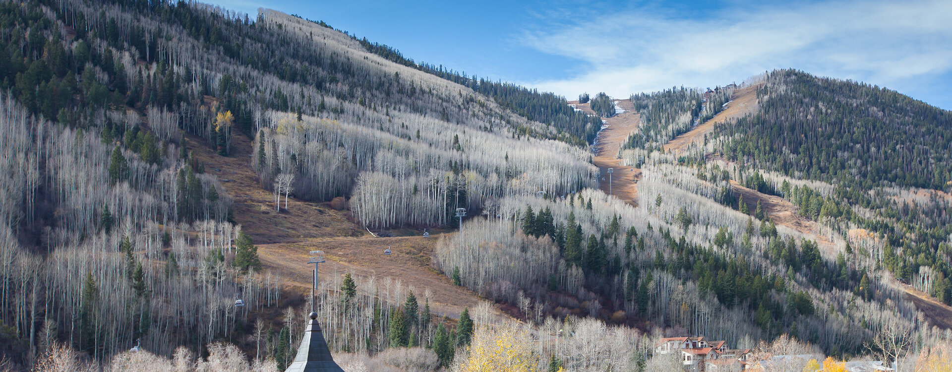 Telluride Home 994227