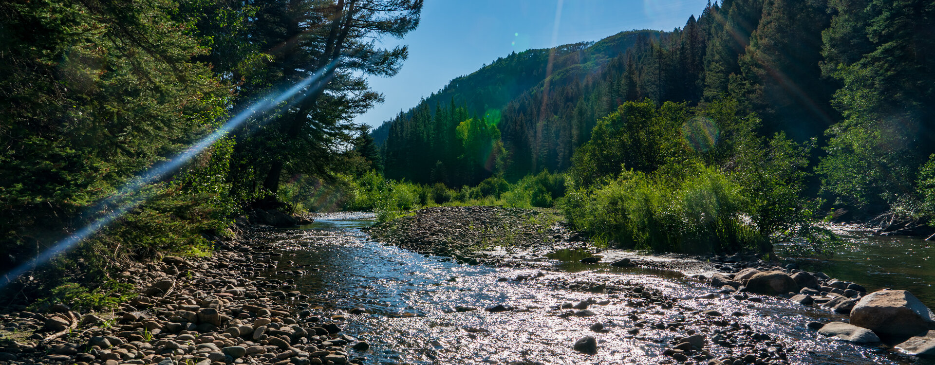 Telluride Home 994228