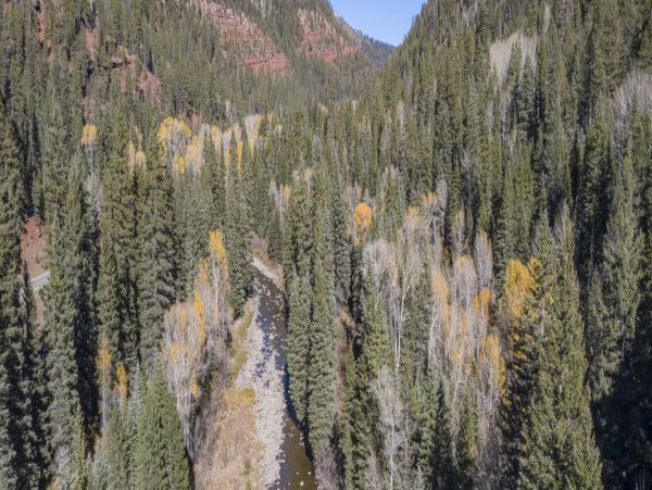Telluride Home 994228