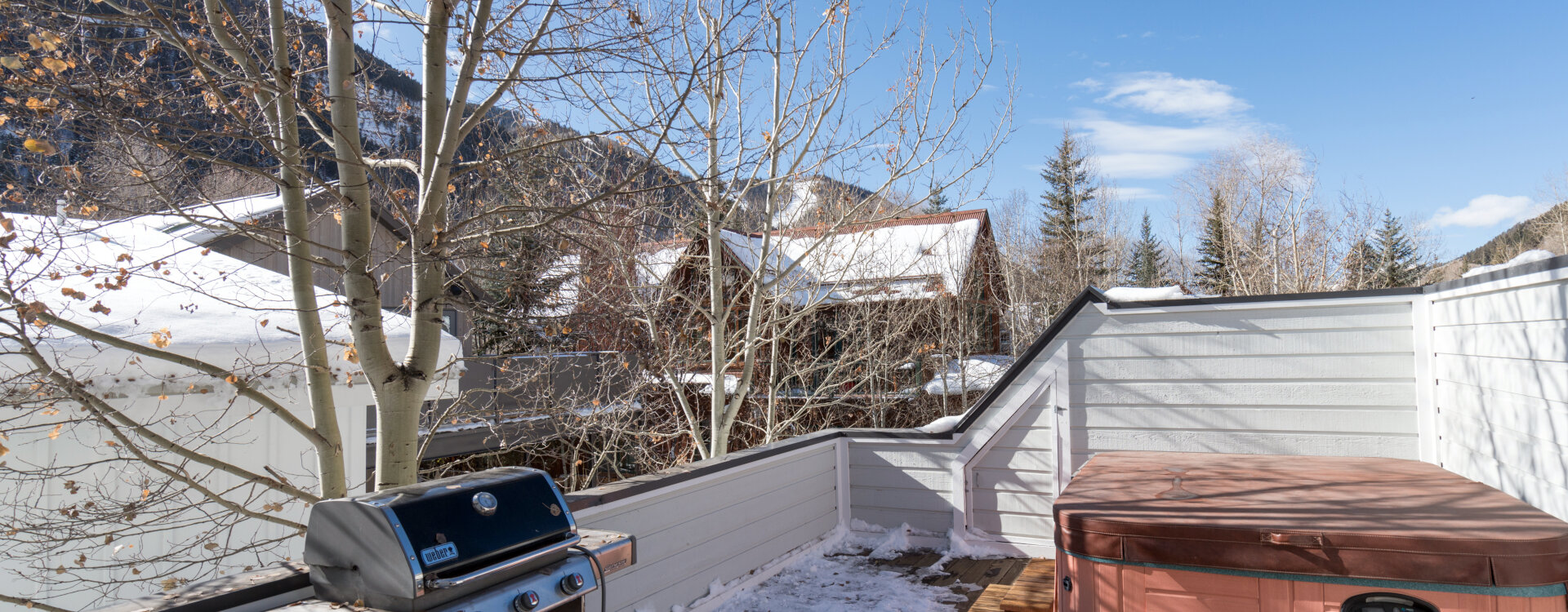 Telluride Home 994232