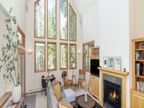 Telluride Home 994233