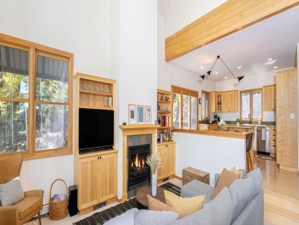 Telluride Home 994233