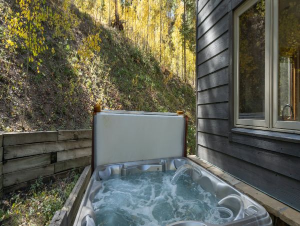 Telluride Home 994233