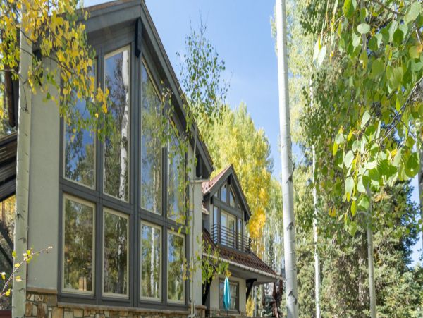 Telluride Home 994233
