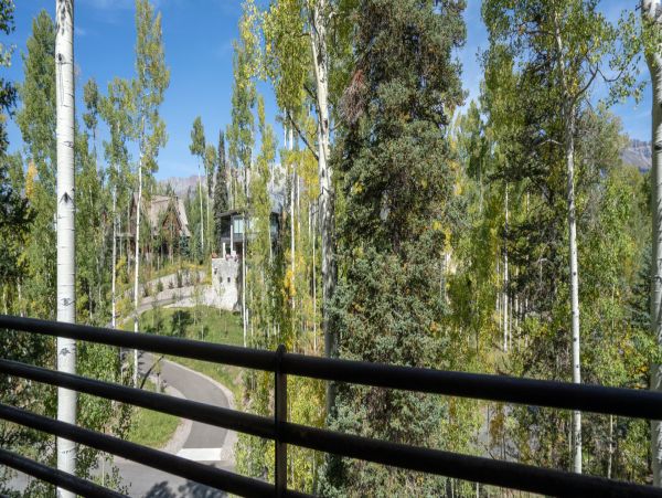 Telluride Home 994233