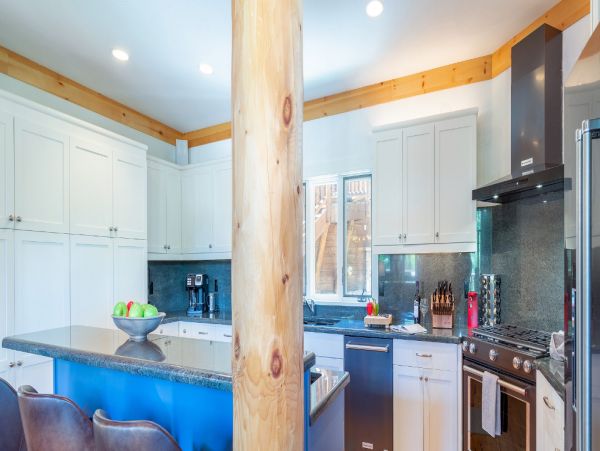 Telluride Home 994234