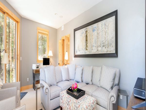 Telluride Home 994234