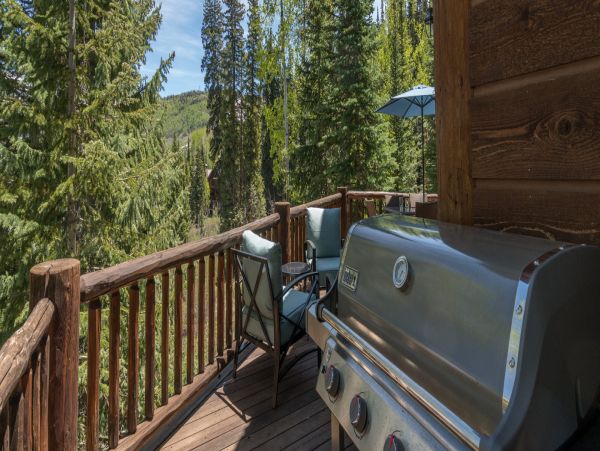 Telluride Home 994234