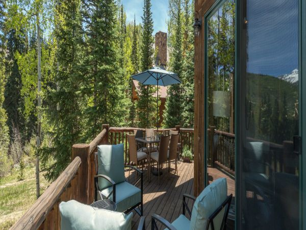 Telluride Home 994234