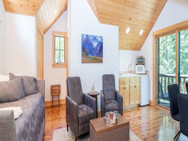 Telluride Home 994234